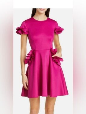 Ted Baker Hot Pink Ruffle Fit-and-Flare Dress